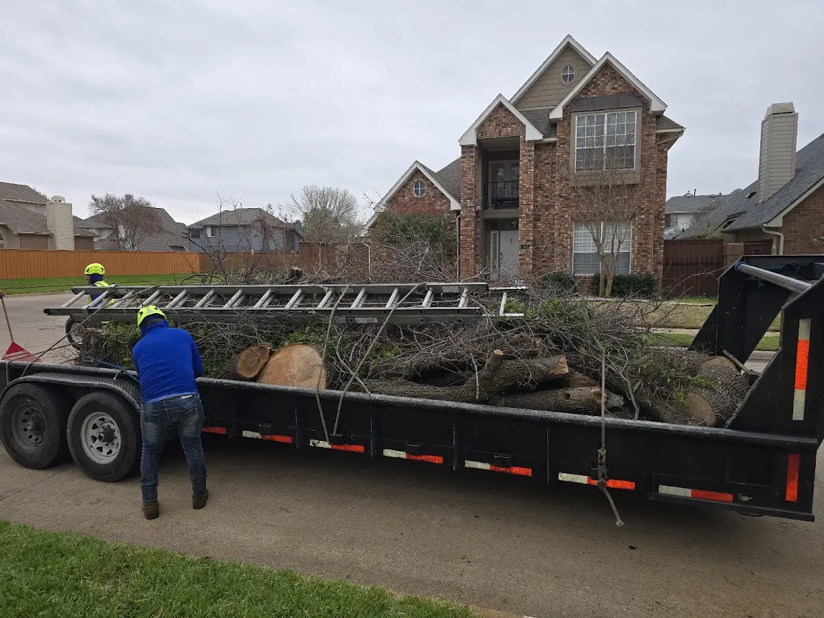 Expert Tree Pest Control with proper safety equipment in Hettinger